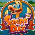 scruffy duck logo photo