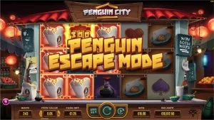 penguin city