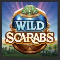 wild scarabs photo