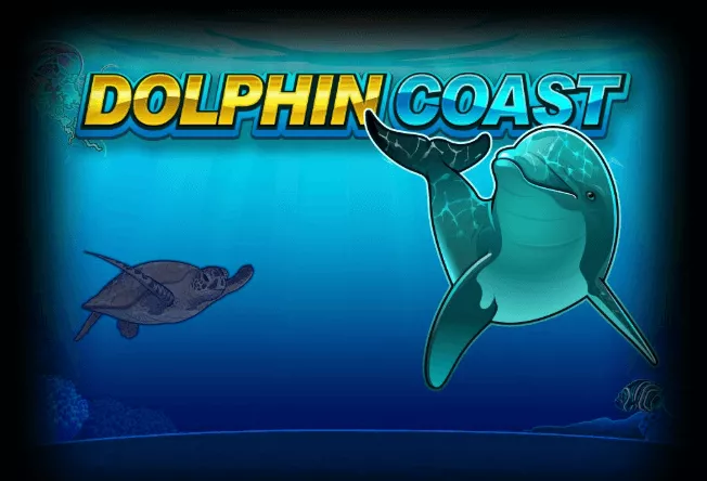 dolphin coast