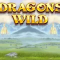 dragons wild photo