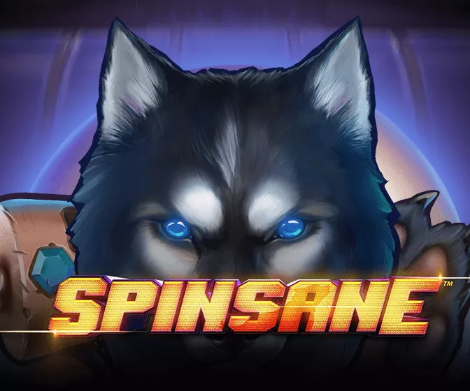 spinsane