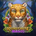rainforest magic van playngo photo