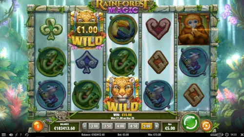 rainforest magic van playngo screenshot