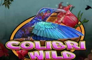 Colibri Wild Gokkasten