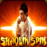 Shaolin Spin