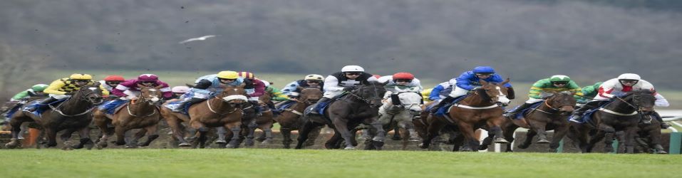 wedden op paardenraces Cheltenham Gold Cup