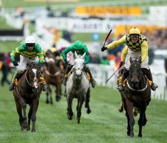 wedden op paardenraces Cheltenham Gold Cup