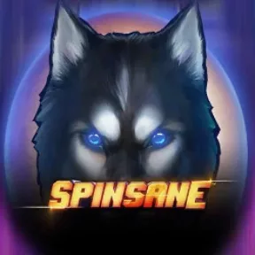 Spinsane Image Mobile Image
