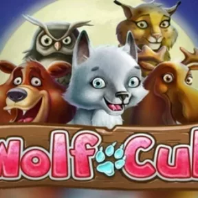 Wolf Cub Image Mobile Image